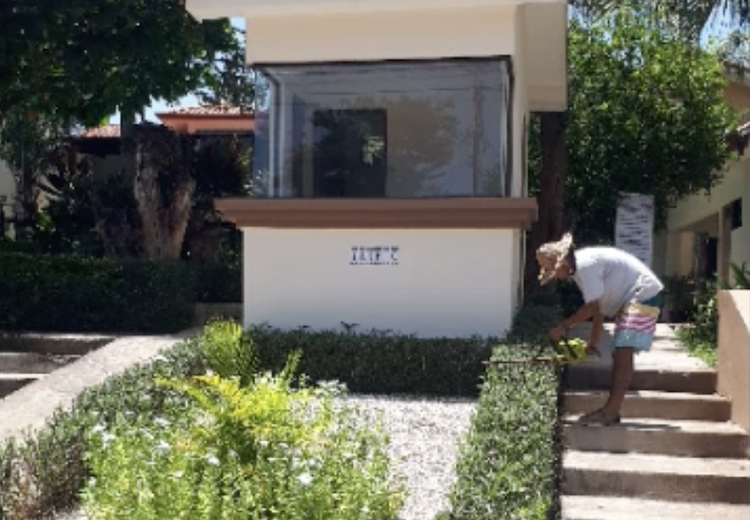 Garden tidy at Jade 3